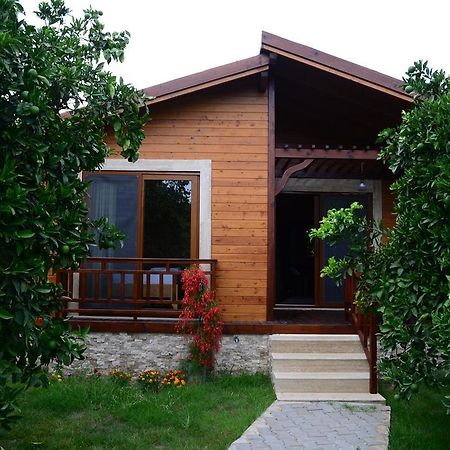 Villa Bilge Чирали Номер фото