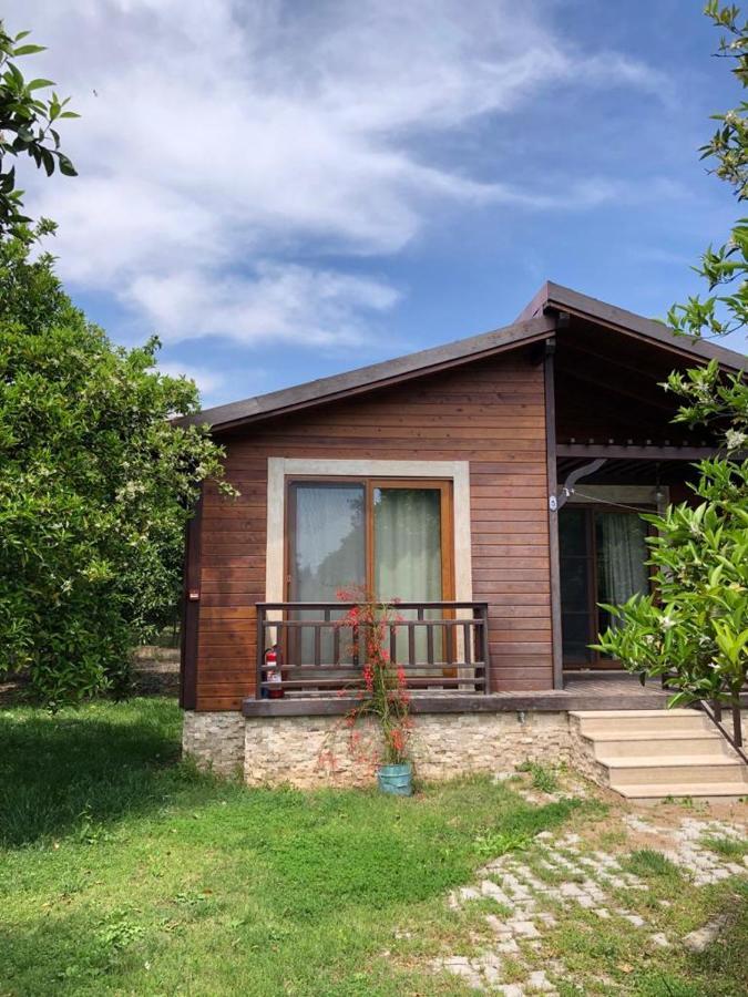 Villa Bilge Чирали Екстер'єр фото